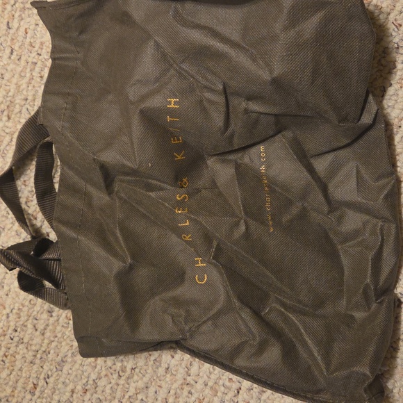 New CHARLES & KEITH Metallic Accent Push Lock Crossbody Bag - Picture 13 of 13